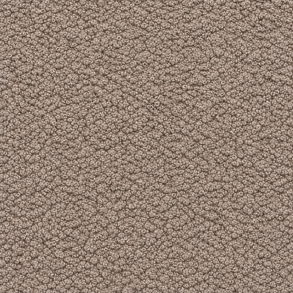 Boucle | Mink
