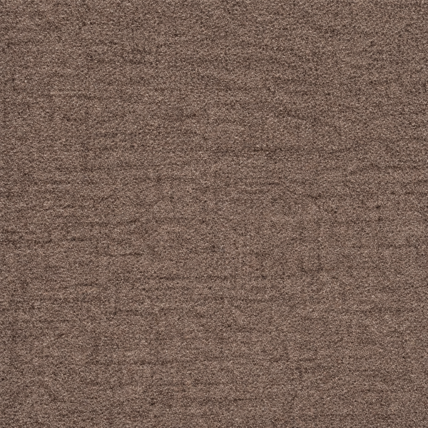 Marl | Cocoa