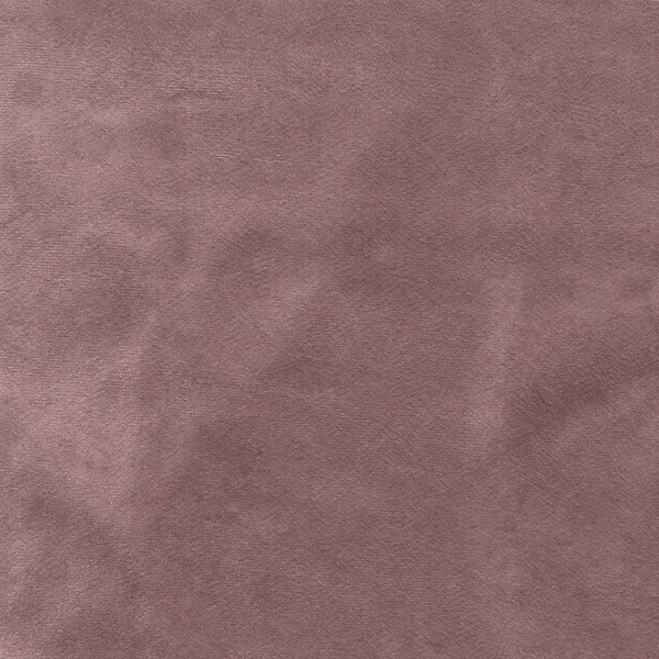 Velvet | Lilac